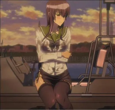 Je suis l'une des survivantes de l'attaque des zombies sur le lycée et suis la capitaine du club de kendo. Je me nomme :