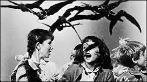 Dans "Les Oiseaux", quels oiseaux sont achetés par Rod Taylor ?