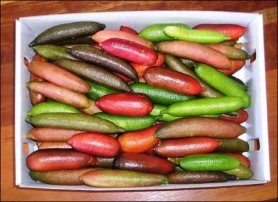 Il vous faudra faire de longues heures de vol, en partant d'Europe, pour déguster ce fruit, le citron-caviar !