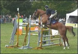 Lequel de ces obstacles n'est pas un obstacle de cross ?