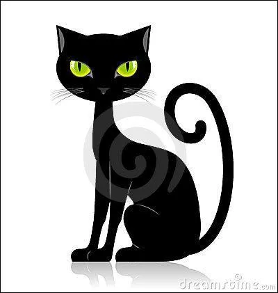 Qui a écrit "Blues pour un chat noir" ?