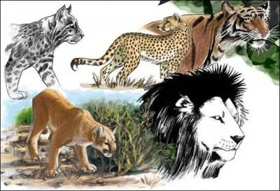 Qui est mort pour Henri Salvador ?