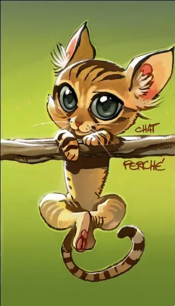 Qui a écrit "Les contes du chat perché" ?