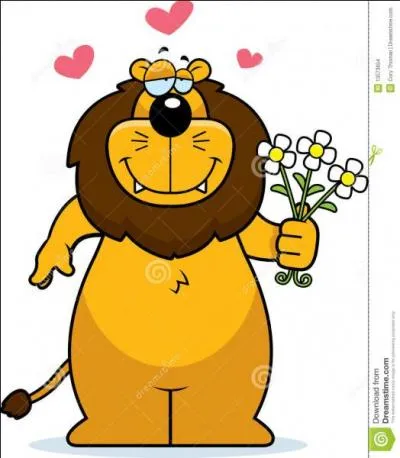 Quelle fleur est appelée "Pied de lion" ?