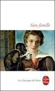 Ce roman a connu de nombreuses adaptations. Qui est l'auteur de "Sans Famille" publié en 1878 ?