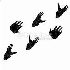 Et celles-ci, savez-vous à qui elles appartiennent ?