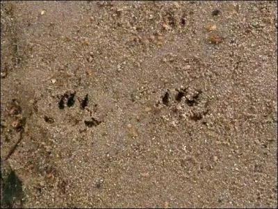 Celle-ci est plus difficile.