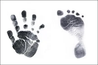 A qui appartiennent celles-là ?