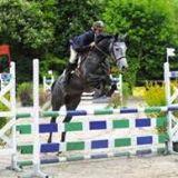Quiz Galop 1