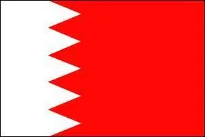 À quel pays correspond ce drapeau ?