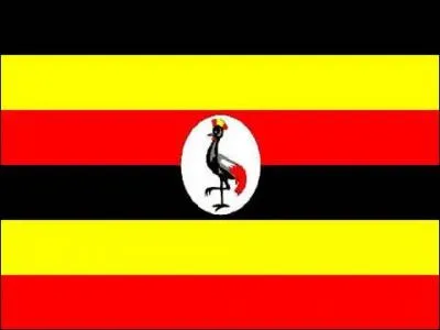 À quel pays correspond ce drapeau ?