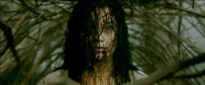 De quel film provient cette image ?