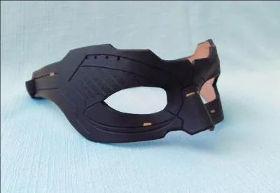 Bon, un peu plus difficile, à qui est ce masque ?