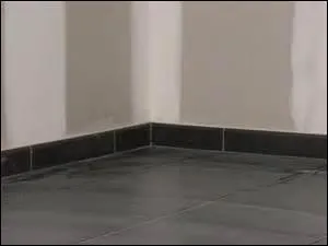 Je vais repeindre les... du salon en rouge, ça donnera plus de chaleur à la pièce.