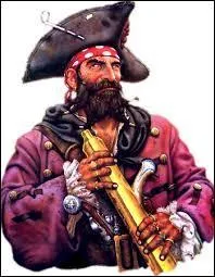 Cathédrale Saint-Vincent, Robert Surcouf, fortifications :