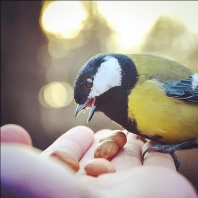 Dans lequel de ces trois pays êtes-vous ?