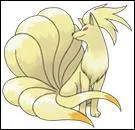 Quel est ce Pokémon ?