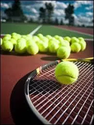 Dans le monde du tennis, quel joueur a pour surnom "Nole" ?