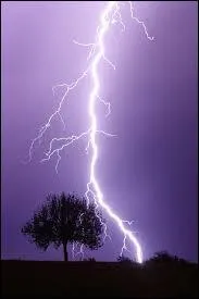 Quel athl&egrave;te est surnomm&eacute; "La Foudre" ou "l'&Eacute;clair" ?