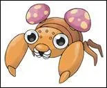 Quel est ce Pokémon ?