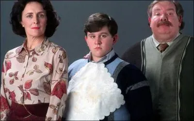 Qui a téléphoné chez les Dursley au début de l'été en voulant parler à Harry ?