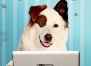 Quiz Les personnages de #Doggyblog