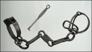 Observez bien ces entraves de fer sur la photo. A qui sont-elles généralement destinées ?