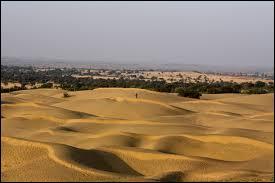 Quelle température peut atteindre le désert du Thar ?