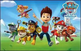 Comment s'appelle cette bande de chiens ?