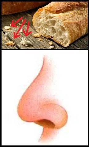 Avec quel groupe le Bernard en question s'est-il illustré ?