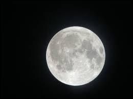 On dit qu'il hurle à la pleine lune dès minuit, quel animal est-ce ?