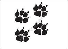 On dit que ses griffes peuvent déchiqueter une personne en moins de 30 secondes, de quel animal s'agit-il ?