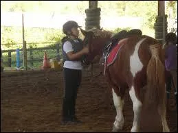 De quel côté monte-t-on à cheval ?