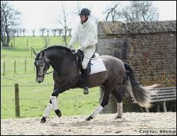 Quiz Galop 1