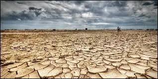 On dit de quelque chose d'extrêmement desséché que c'est "sec comme la langue...".