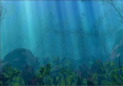 Combien y a-t-il d'océans ?