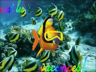 Qui est sous l'eau ?