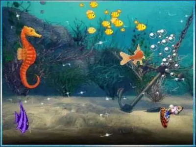 Quel est ce poisson ?