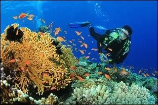 Comment s'appelle cette personne ?