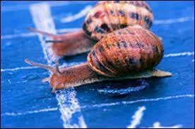 Dire "Il n'y a pas le feu...", c'est quand une situation n'est pas pressante.