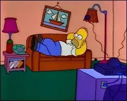 Être confortablement installé, c'est "Avoir le dos au feu et...".