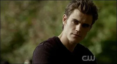 Épisode 19 : sur quoi Stefan compte-t-il pour faire revenir l'humanité de Caroline ?