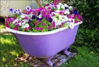 Comment appelle-t-on ces plantes à fleurs qui ornent ordinairement nos balcons ?