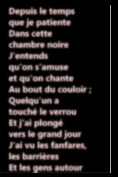 Quel est le nom de ce chanteur ?