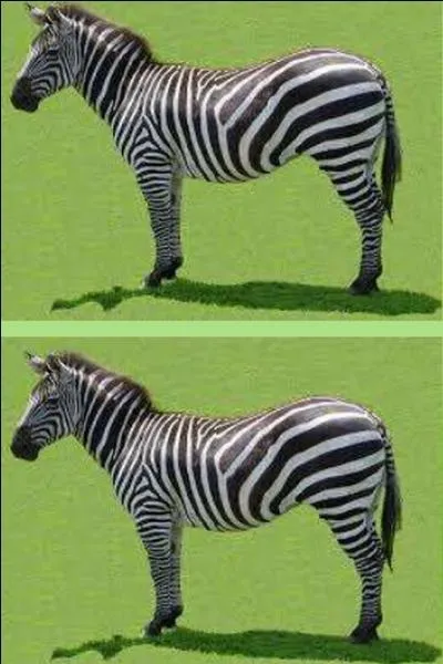 Combien comptez-vous d'erreurs, entre ces deux images ?