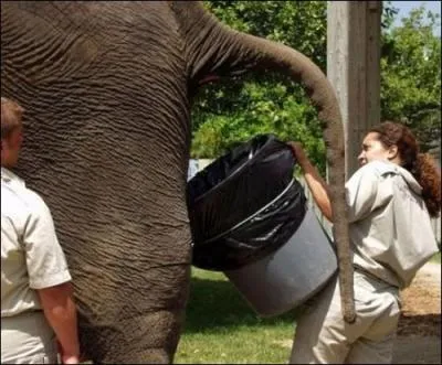 Qui a dit : Sarkozy, faut lui marcher dessus. Et du pied gauche, ça porte bonheur ?