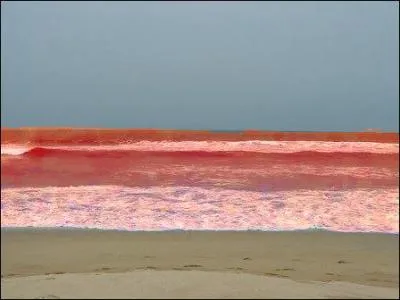 Elle relie l'oc&eacute;an Indien &agrave; la mer M&eacute;diterran&eacute;e par le canal de Suez. Quelle est cette mer, l'une des plus sal&eacute;es du globe ?