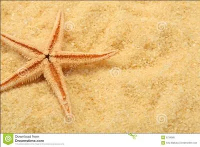 Son nom provient du sable et des s&eacute;diments apport&eacute;s par le vent soufflant depuis le d&eacute;sert de Gobi et par les fleuves. C'est...