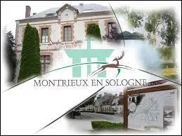 Montrieux-en-Sologne est une commune Loir-et-Chérienne située en région ...
