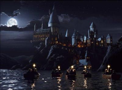 On peut se rendre au château de Poudlard en empruntant le "Poudlard Express", train réservé aux sorciers. Dans "Harry Potter à l'école des sorciers", comment les sorciers y accèdent-ils ?